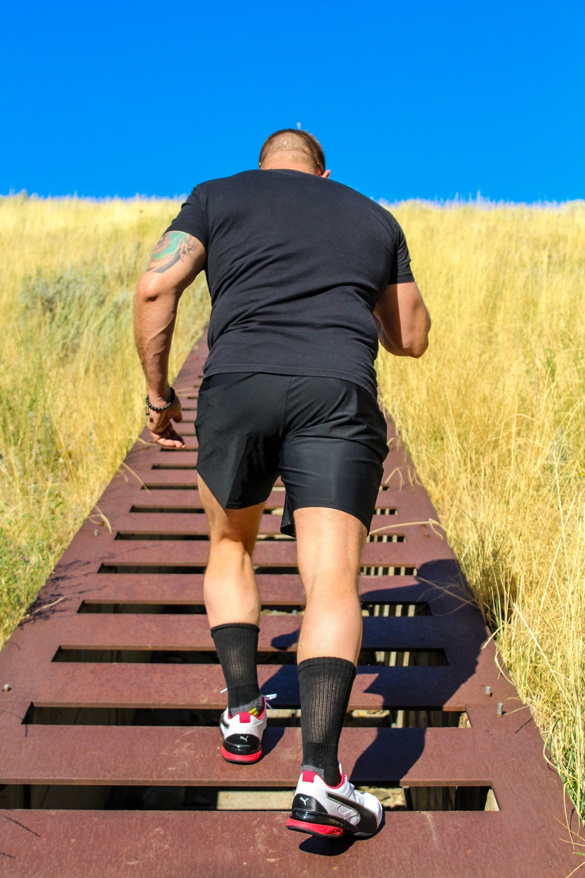 Vaiora Men's Shorts